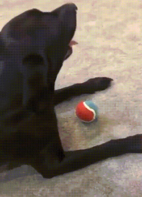 聪明水动画,聪明水的功效和作用