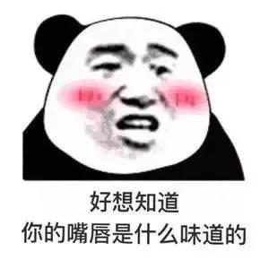 熊猫贴在墙上表情,震惊熊猫表情素材