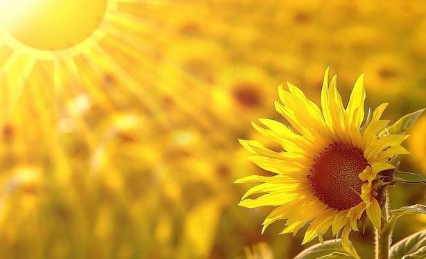 故事:江苏70岁老人头疼欲裂,检查时发现颅内有*弹子**,吓坏在场医生