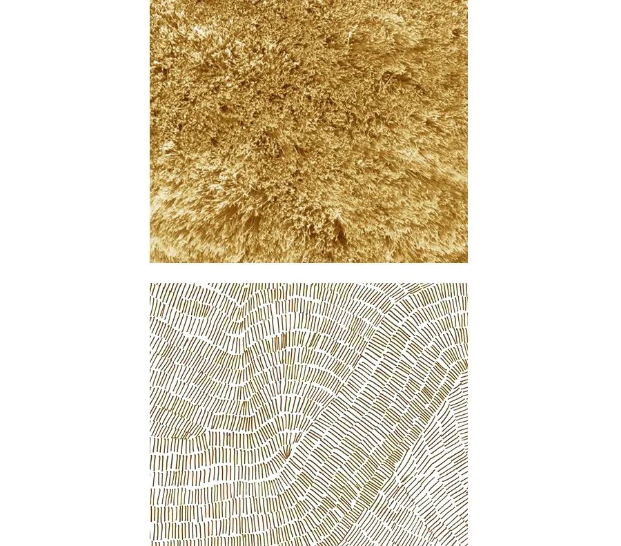 儿童画小熊简单又美丽,儿童画可爱的小熊