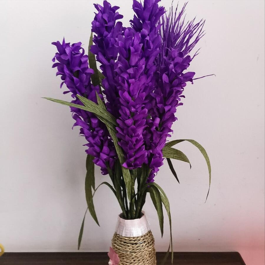 盆栽薰衣草的种植技巧和注意事项,薰衣草盆栽种植方法图片欣赏