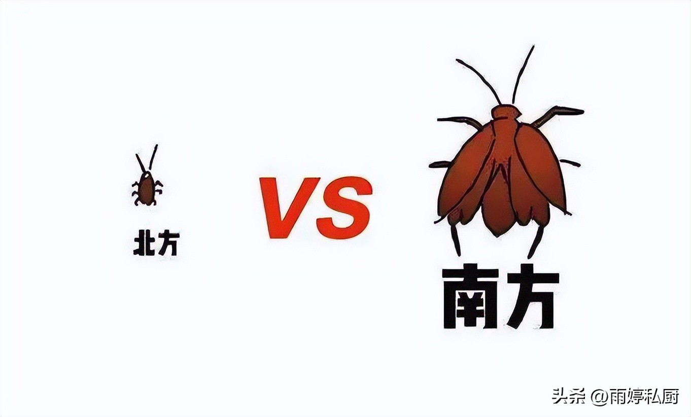 蟑螂最怕3个克星怎么样消灭蟑螂,怎么去除蟑螂蟑螂最怕什么