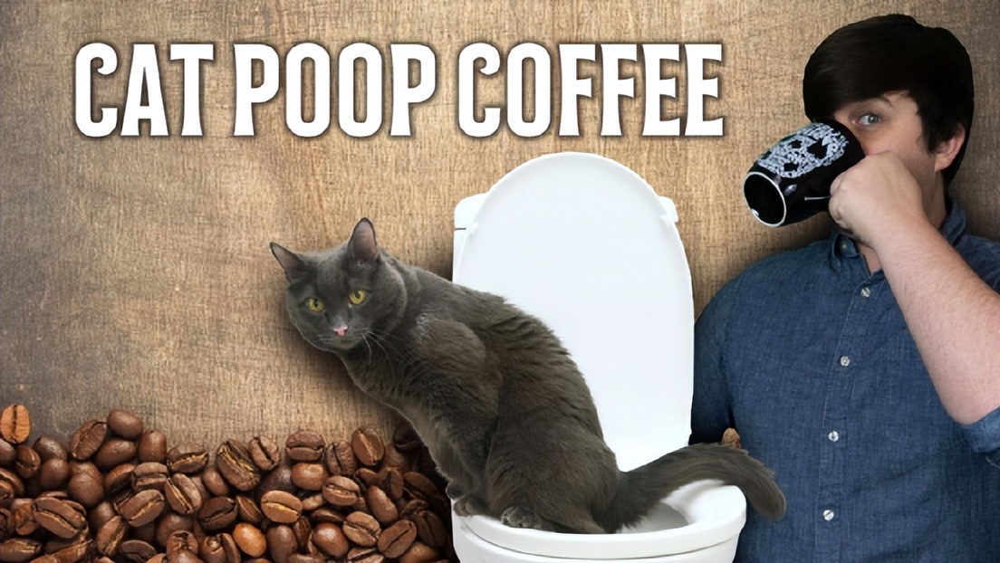 太香？太臭？猫咪排泄物的入药黑历史！