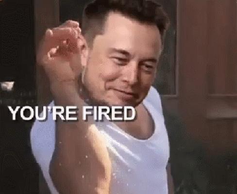 马斯克收购推特会释放被封号码吗,马斯克收购推特后各国反应