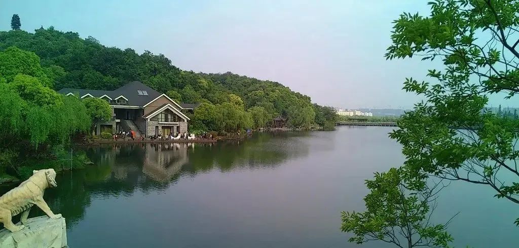 写给不被疫情束缚的心:用文字“云”游新西兰全境