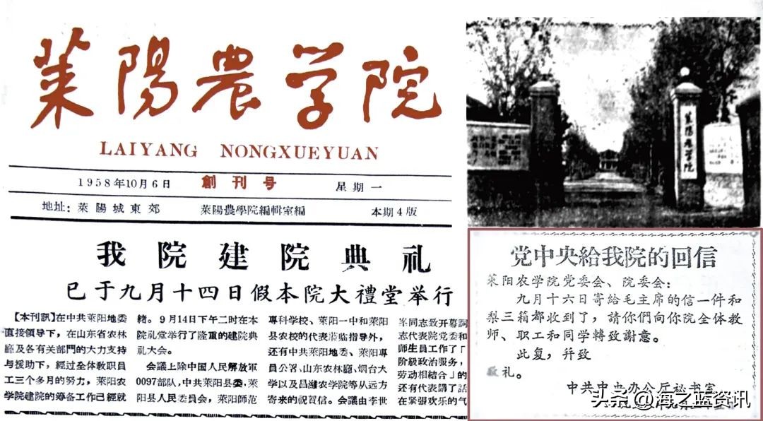 烟台又失一所大学，海都学院即将搬离？