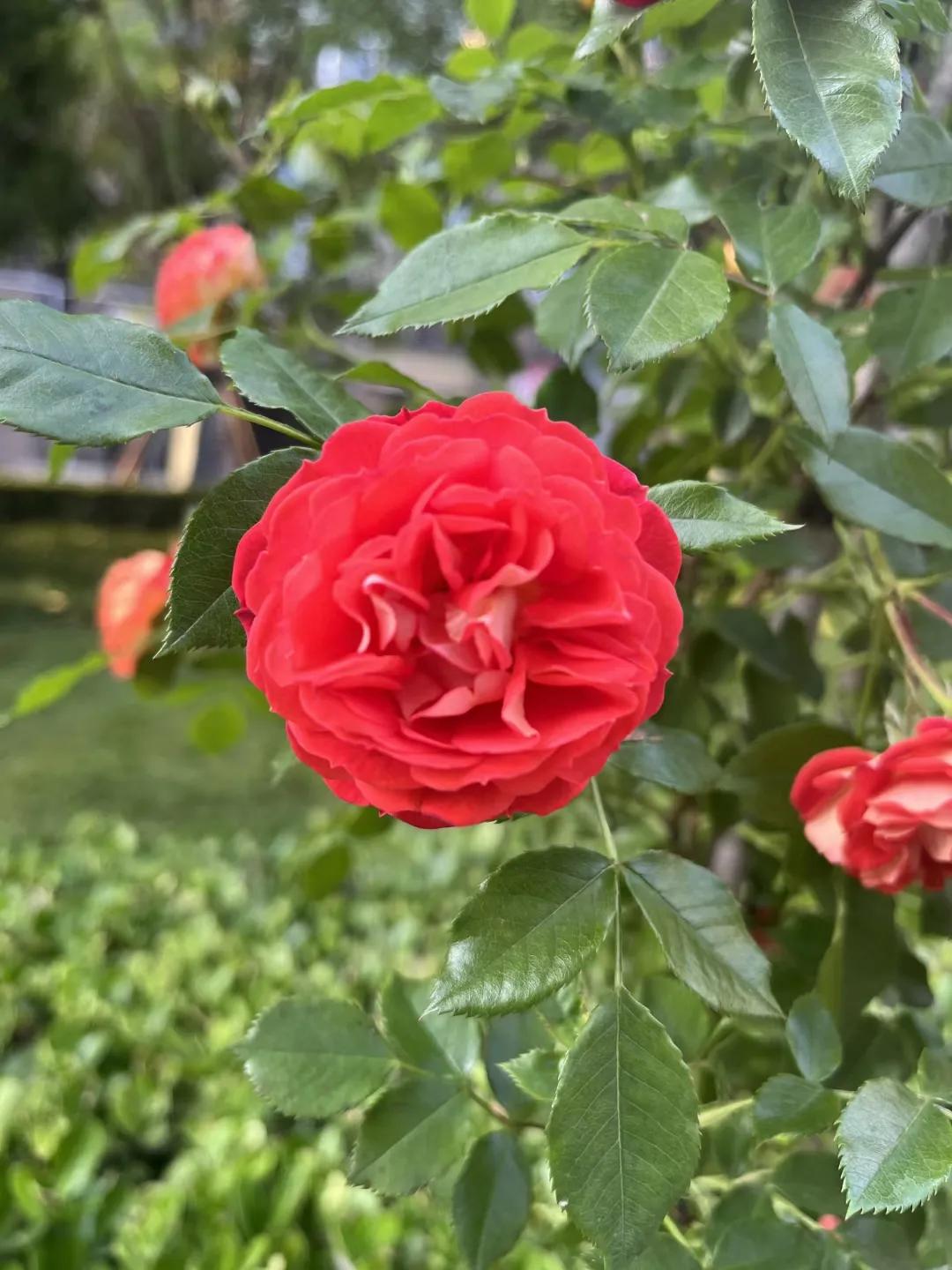 怎样在交往中不卑微,与人交往不卑微