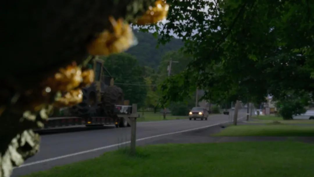 原来它们也有“性丑闻”,这片看完让我大开眼界