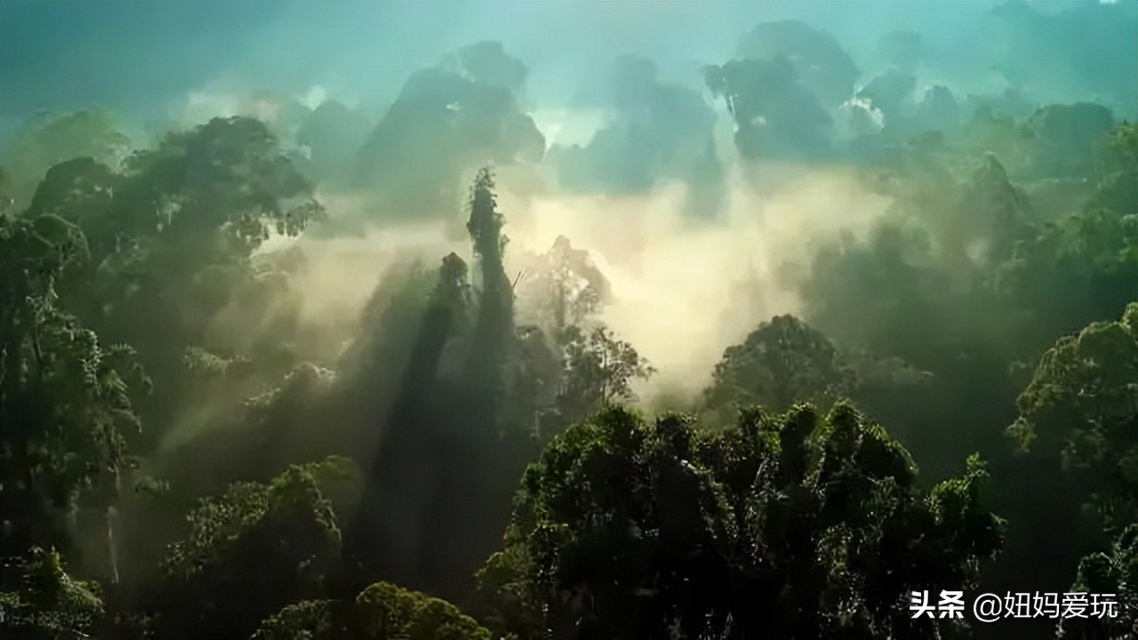 这几部口碑爆棚的宝藏纪录片,国庆孩子必看的8部神级纪录片