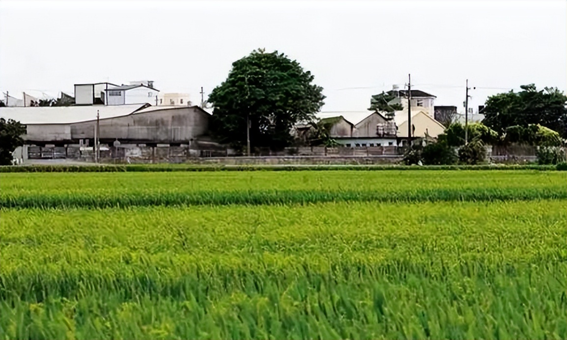 耐克也得看他脸色！年入170亿的台湾首富，靠越南人赚翻了