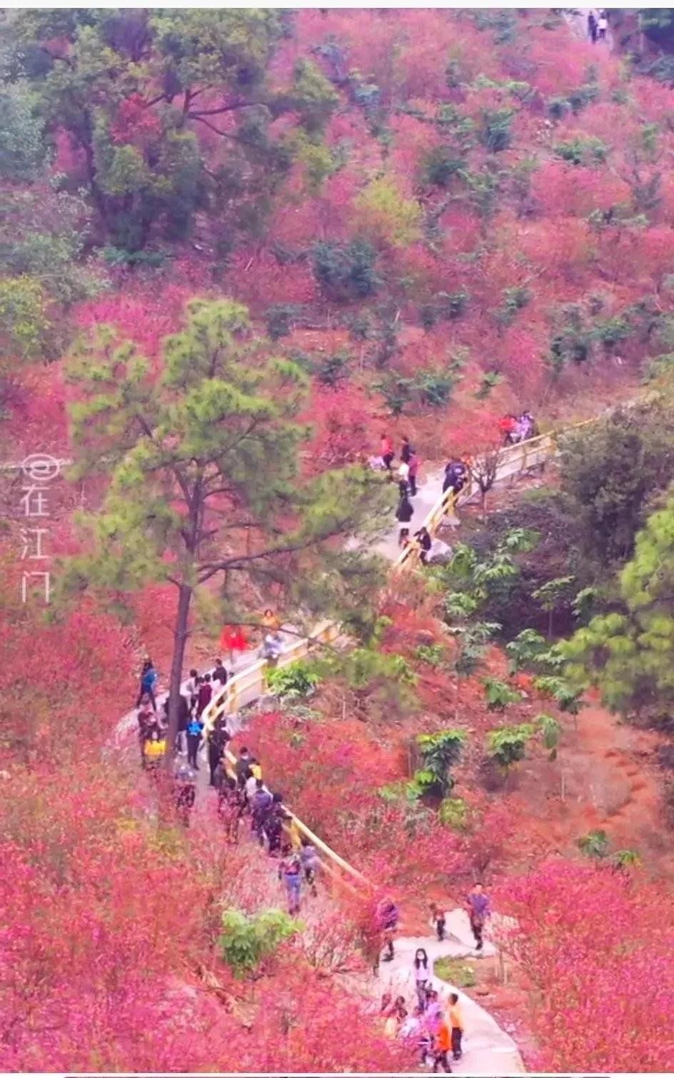 大运狂飙,兔年行大运好运常相伴