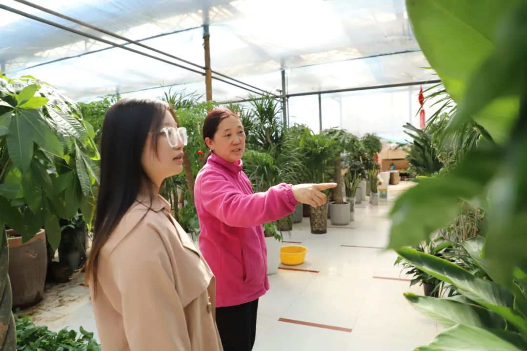 河南坠子巧媳妇,沁阳花仙子