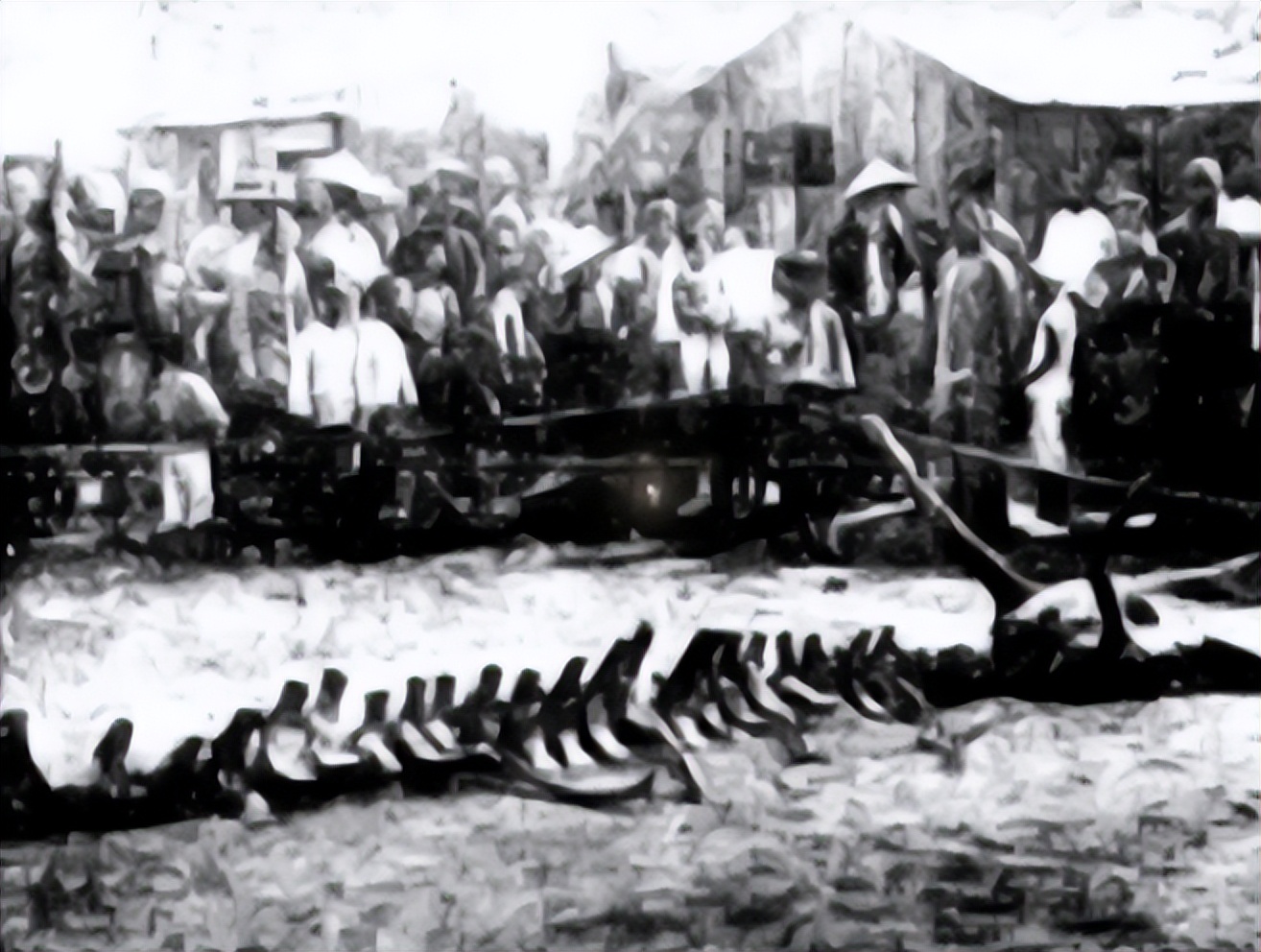 2007年高邮湖出现龙吸水奇观,高邮湖出现罕见龙吸水