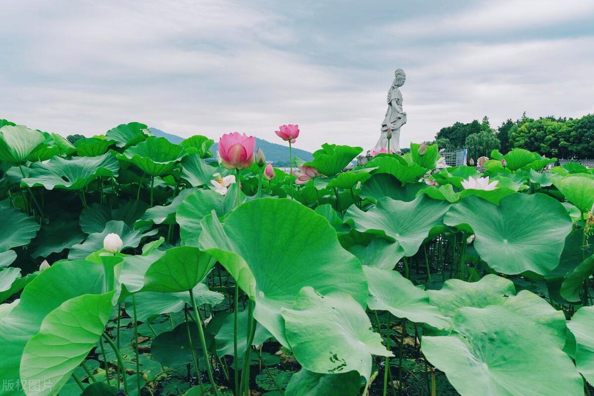南京十大免费景点游玩最详攻略,不花钱游南京,爽!