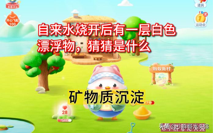 自来水烧开后有一层白色漂浮物，猜猜是什么？蚂蚁庄园小知识