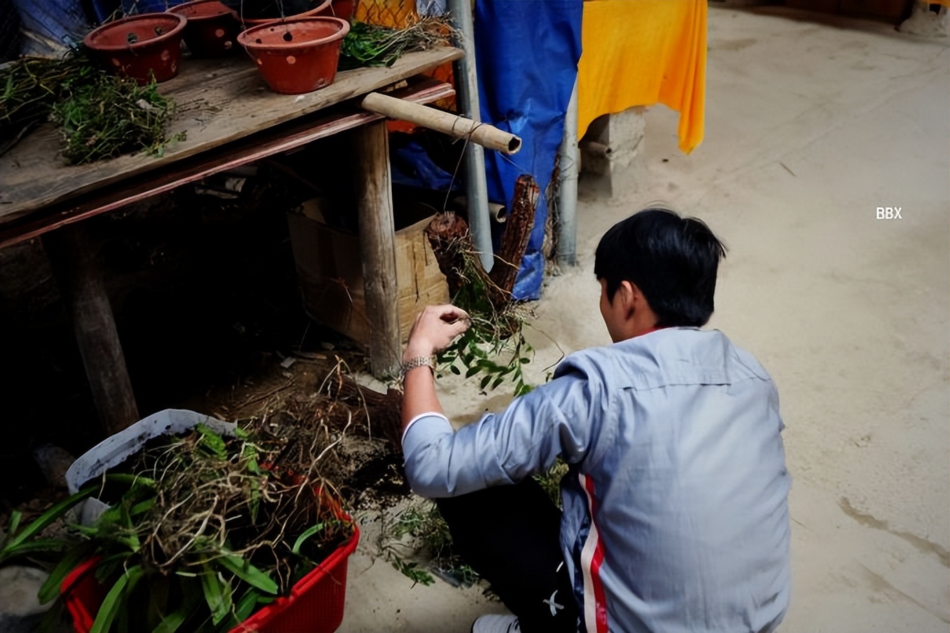 中越边境越南的露天集市,高平集市