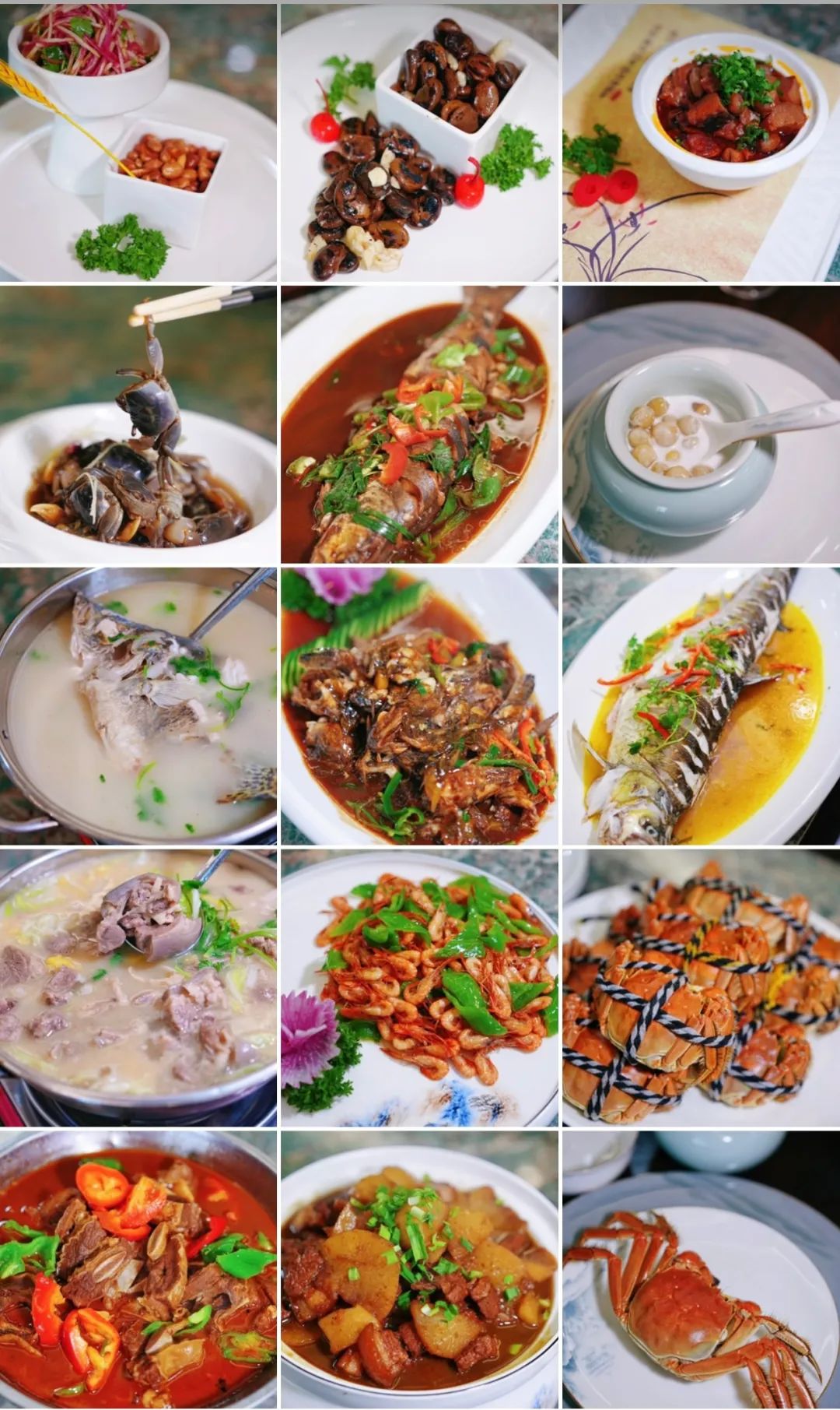 盐城值得去的地方,盐城市区有什么值得去的地方