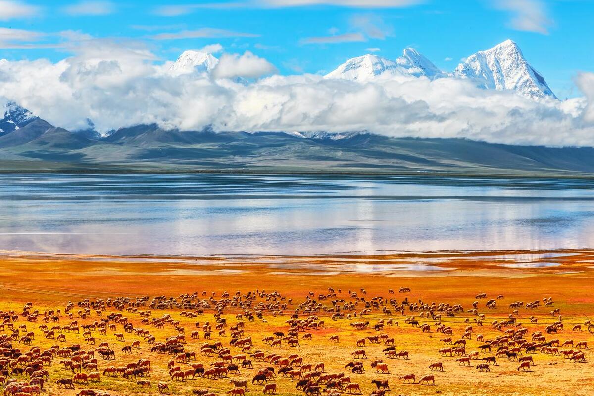 藏西旅游线路,藏西什么季节去最合适