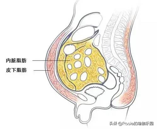 袁泉短发怎么减肥,袁泉瘦