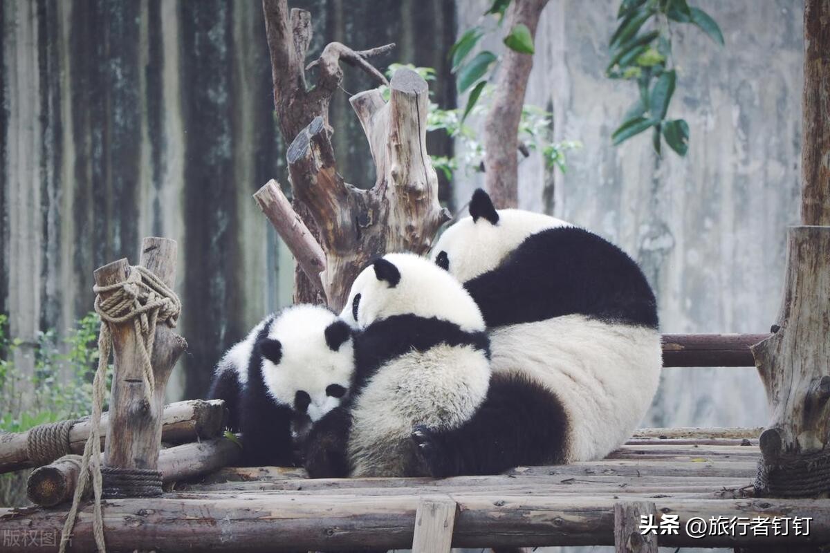 成都318自驾路线必去小众的景点,五一带小学生必去成都景点排行榜