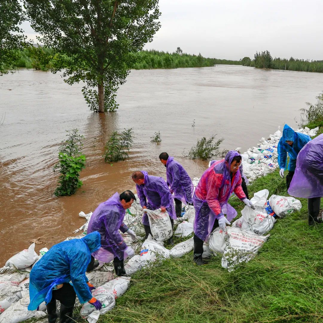 迎接党的20大美术作品,喜迎二十大乡村摄影展