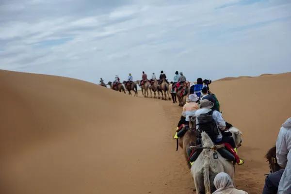 宁夏“中卫”《沙坡头》游,真实感受,体验