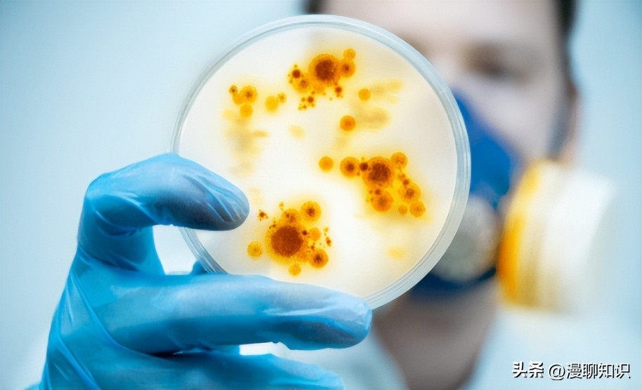 马传染性子宫炎传染性较强，它的传播途径有哪些