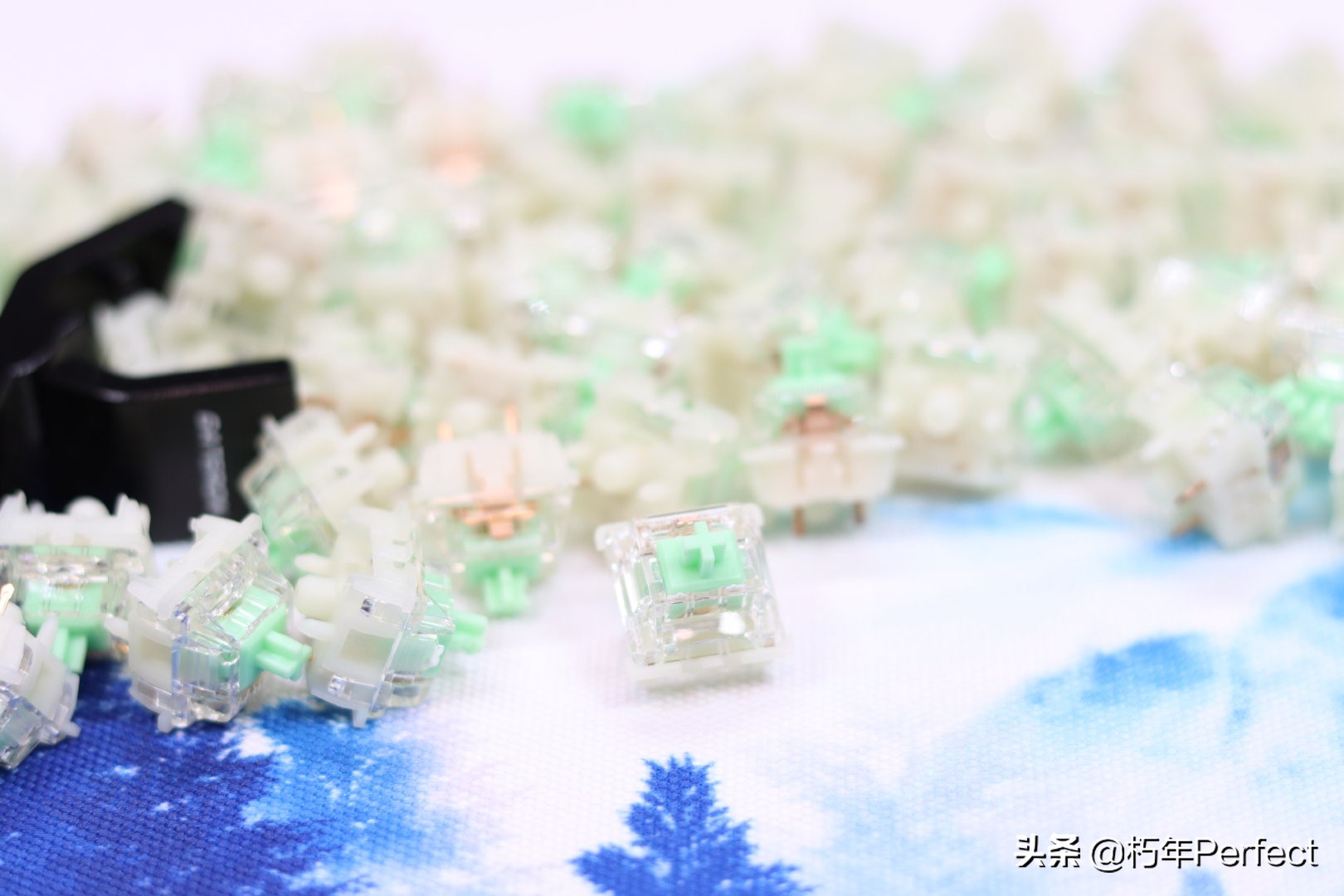 佳达隆小袋鼠轴测评,佳达隆小袋鼠轴3.0