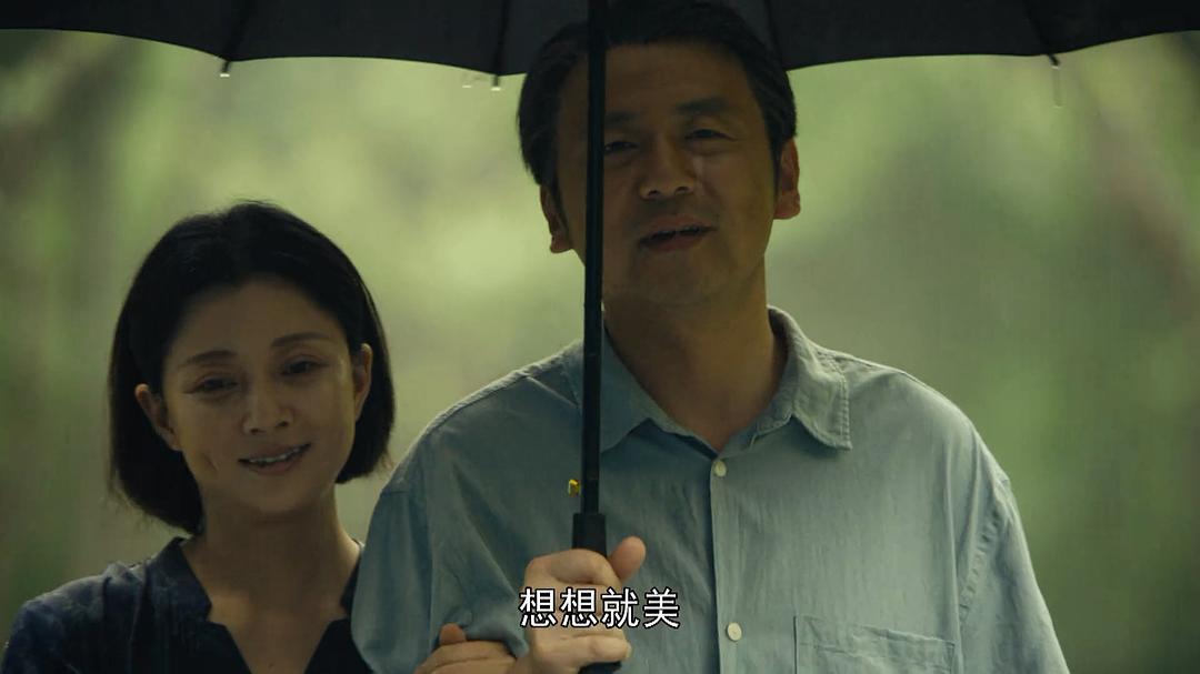 县委大院电视剧央视直播,央视县委大院最新预告