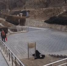 爆笑名场面动图,爆笑动图笑话大全