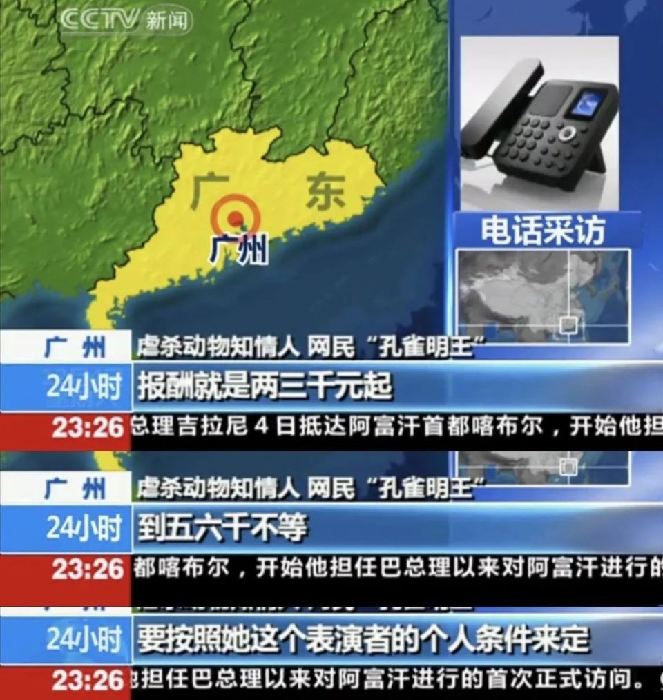 热搜上的网红，早该进监狱了