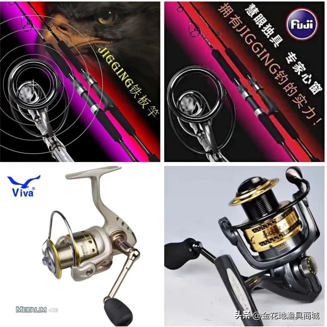 金花地渔具直播,金花地秋季渔具