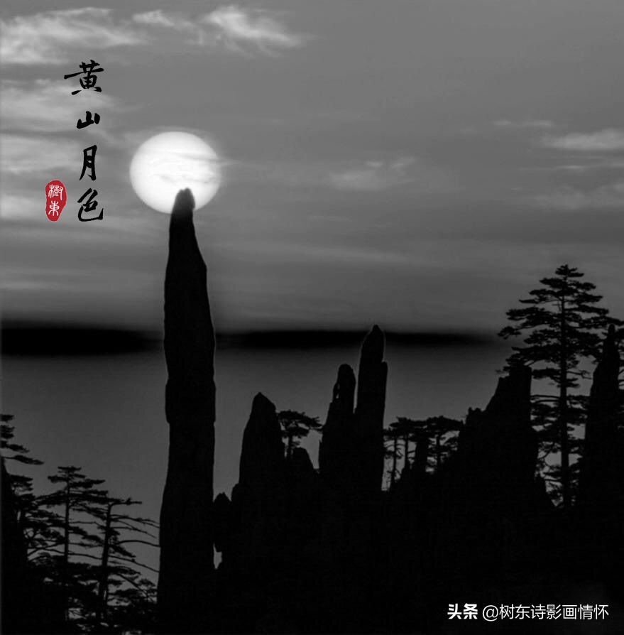 大雪压青松青松挺且直是谁写的诗,大雪压青松青松挺且直象征意义