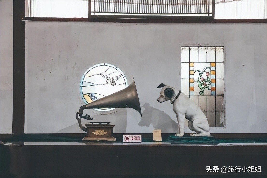 夏日海边微醺氛围感,滨城风光秀丽浪漫气息爆表