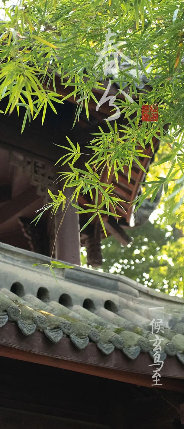 今日秋分丨秋实春华，草堂浮生