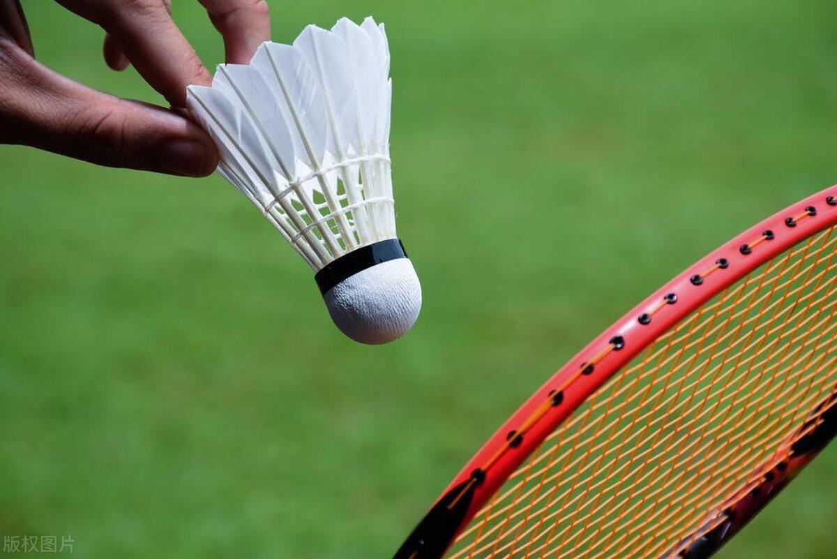 羽毛球拍子哪个牌子最好用,初学羽毛球拍哪个牌子好