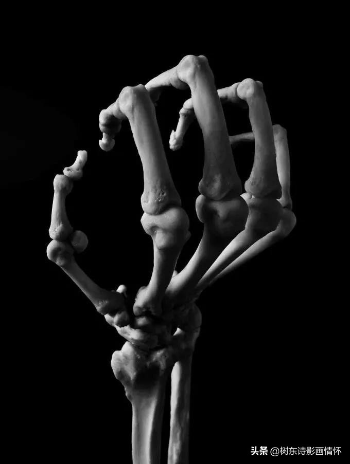 摄影美到极致令人一见倾心,旧景摄影别样美