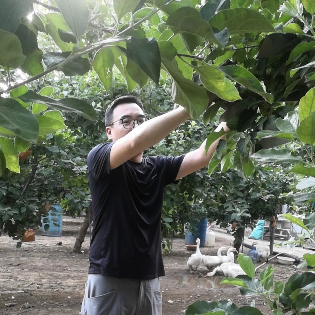 返乡创业新农业人,90后新农人返乡创业