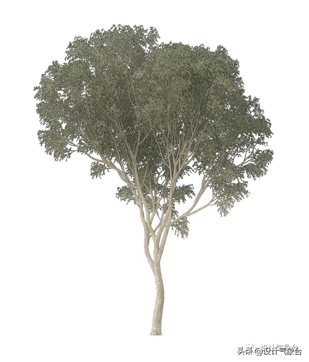 惜败扎哈事务所，但OMA的中国风方案留下一抹惊艳的色彩