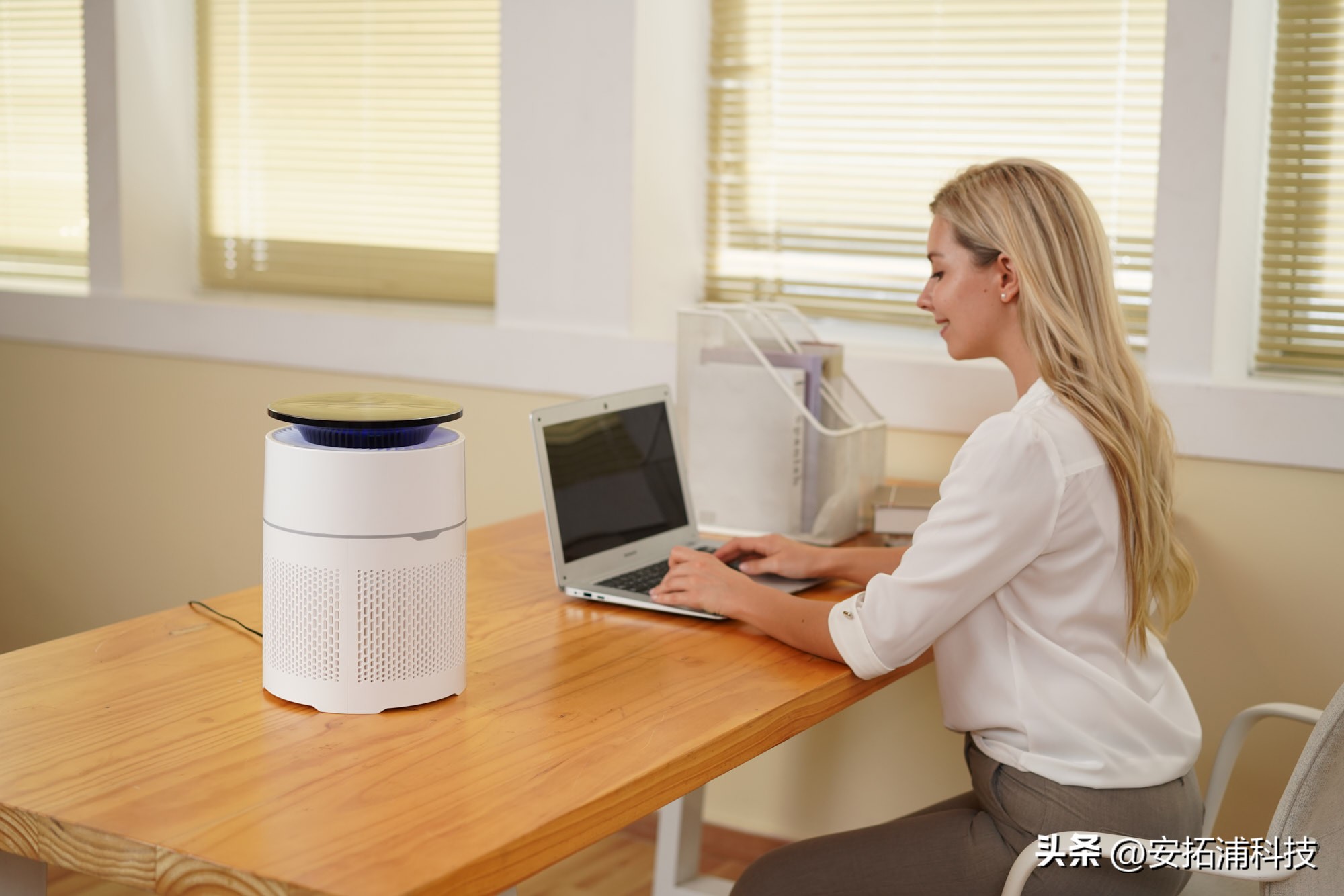 楼房室内异味怎么去除,怎样去除室内甲醛异味