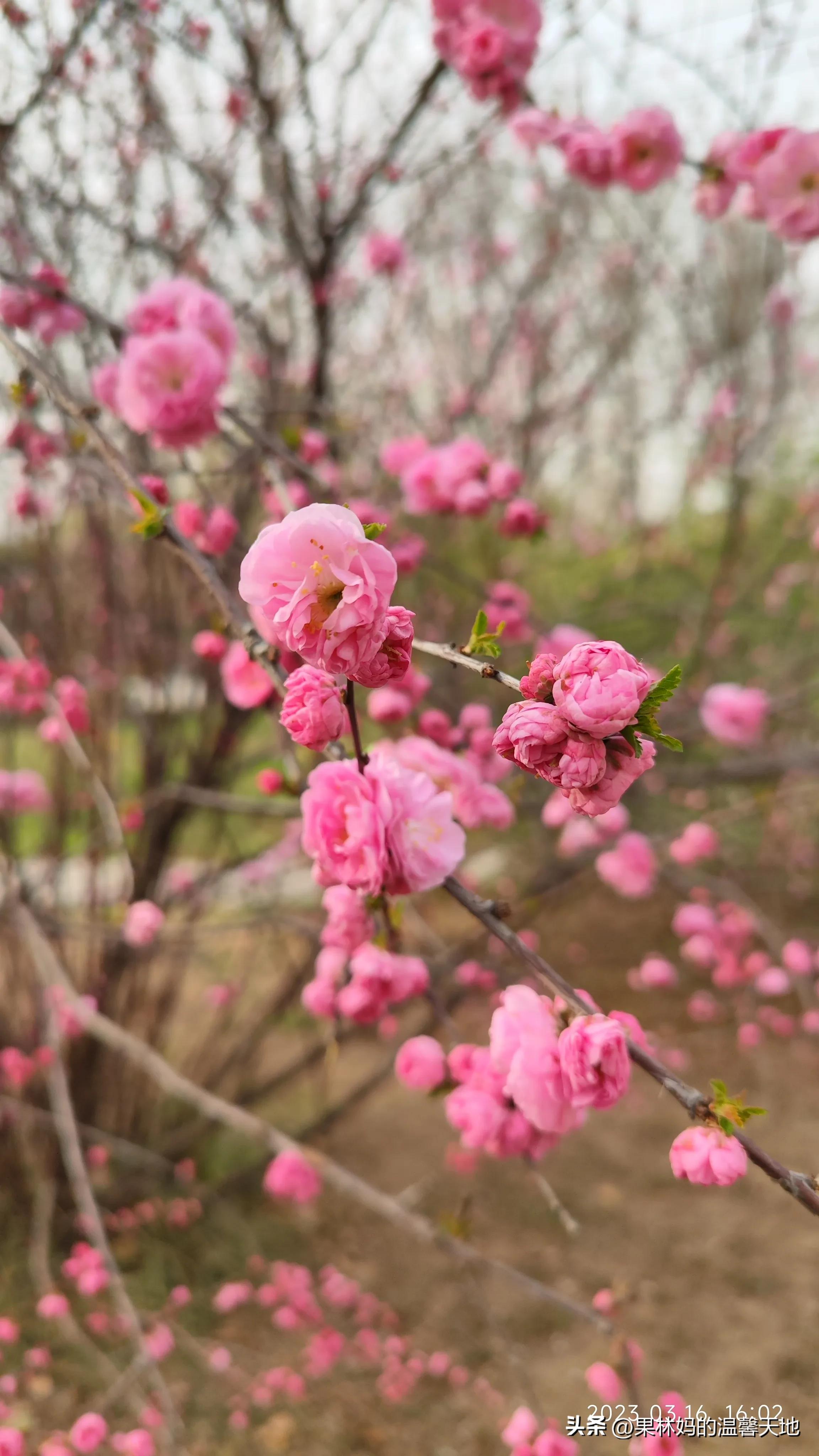 鼻腔有异物可以看急诊吗,晚上鼻腔异物看急诊