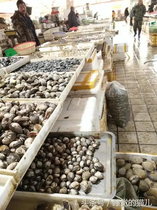 海鲜种类排名前十有哪些,十种海鲜排行榜最新