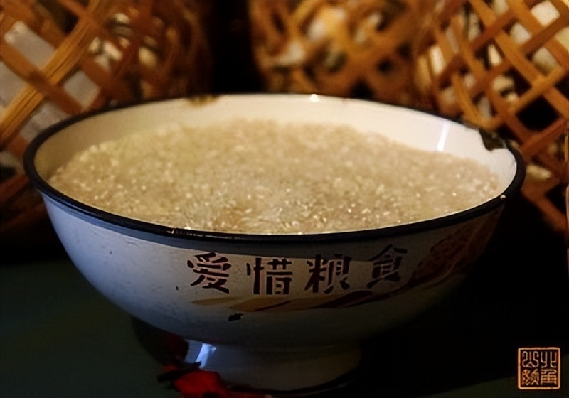 辽宁国家粮仓遭鼠患，员工训练流浪猫当兵入伍，厂内上演猫鼠大战