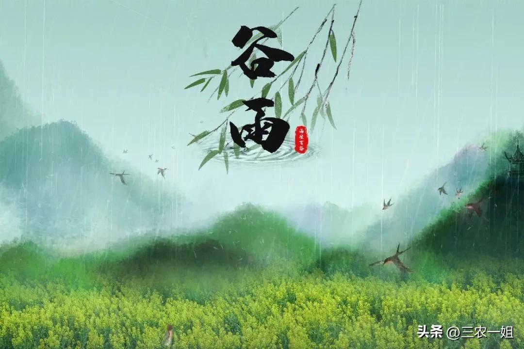 明日三月初一谷雨，“谷雨在月头，寡妇不用愁”，今年收成好吗