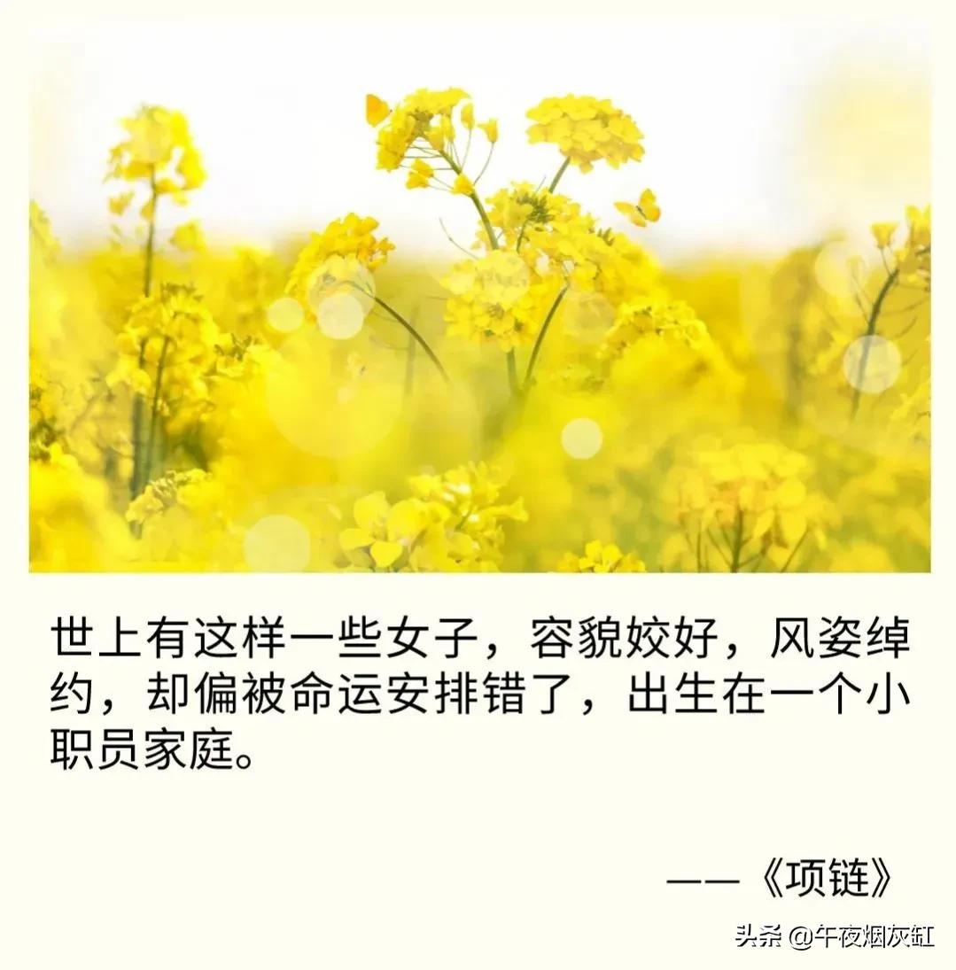 莫泊桑项链告诉我们什么道理,莫泊桑的项链是多少人生的缩影