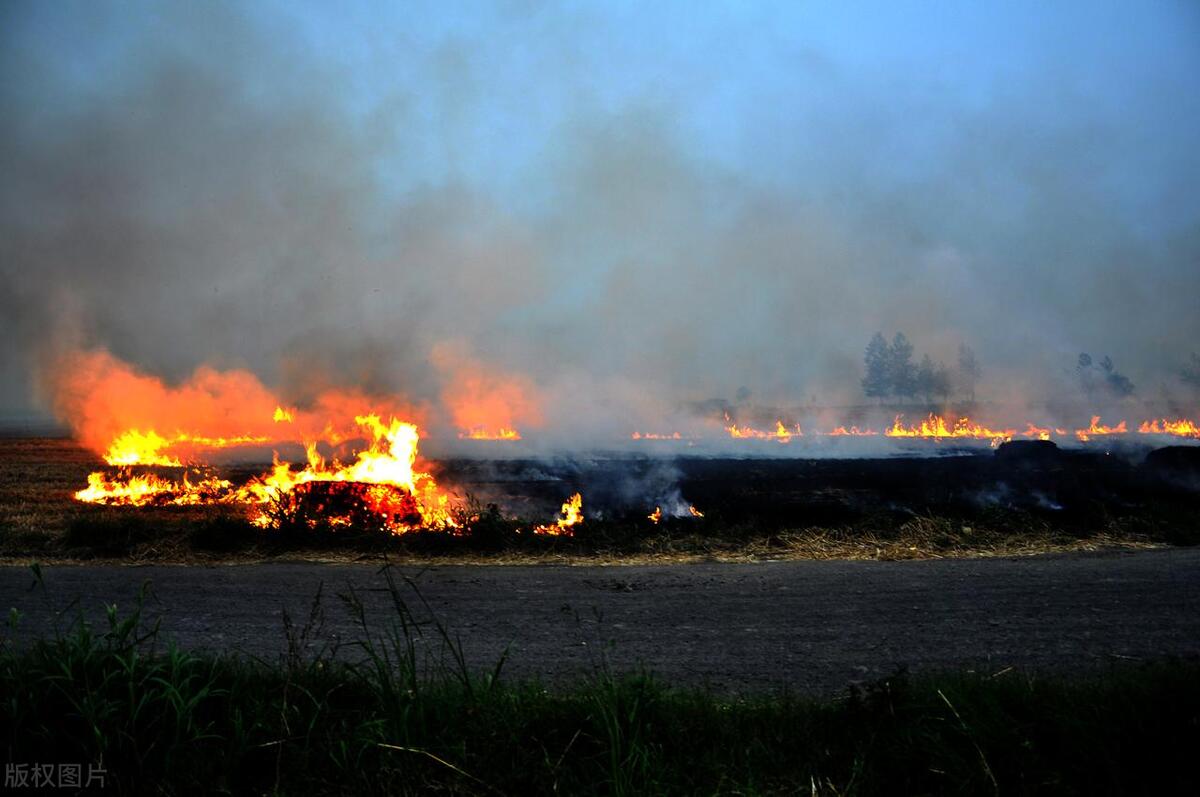 焚烧秸秆对土壤好还是坏,焚烧秸秆利大还是弊大