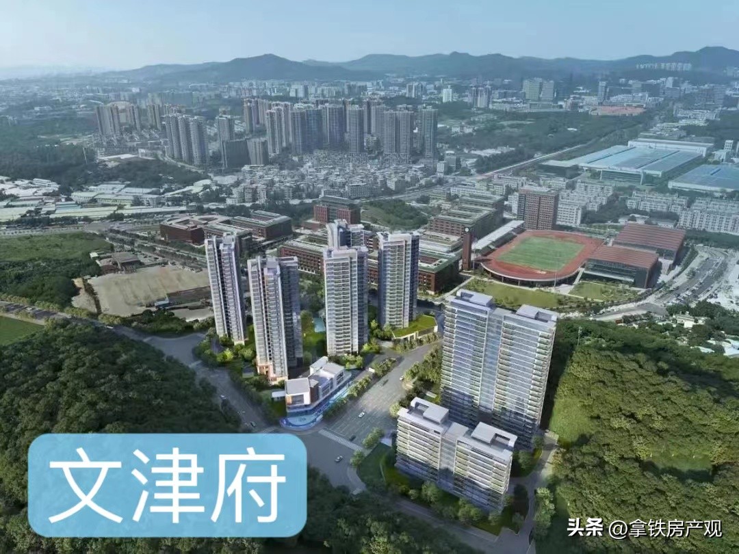 深度点评：牛奶厂劲敌来了，文津府值得买吗？