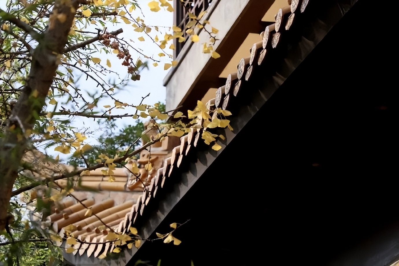 梦到亲人离世预示着什么,梦到已故的亲人往往预示着三件事