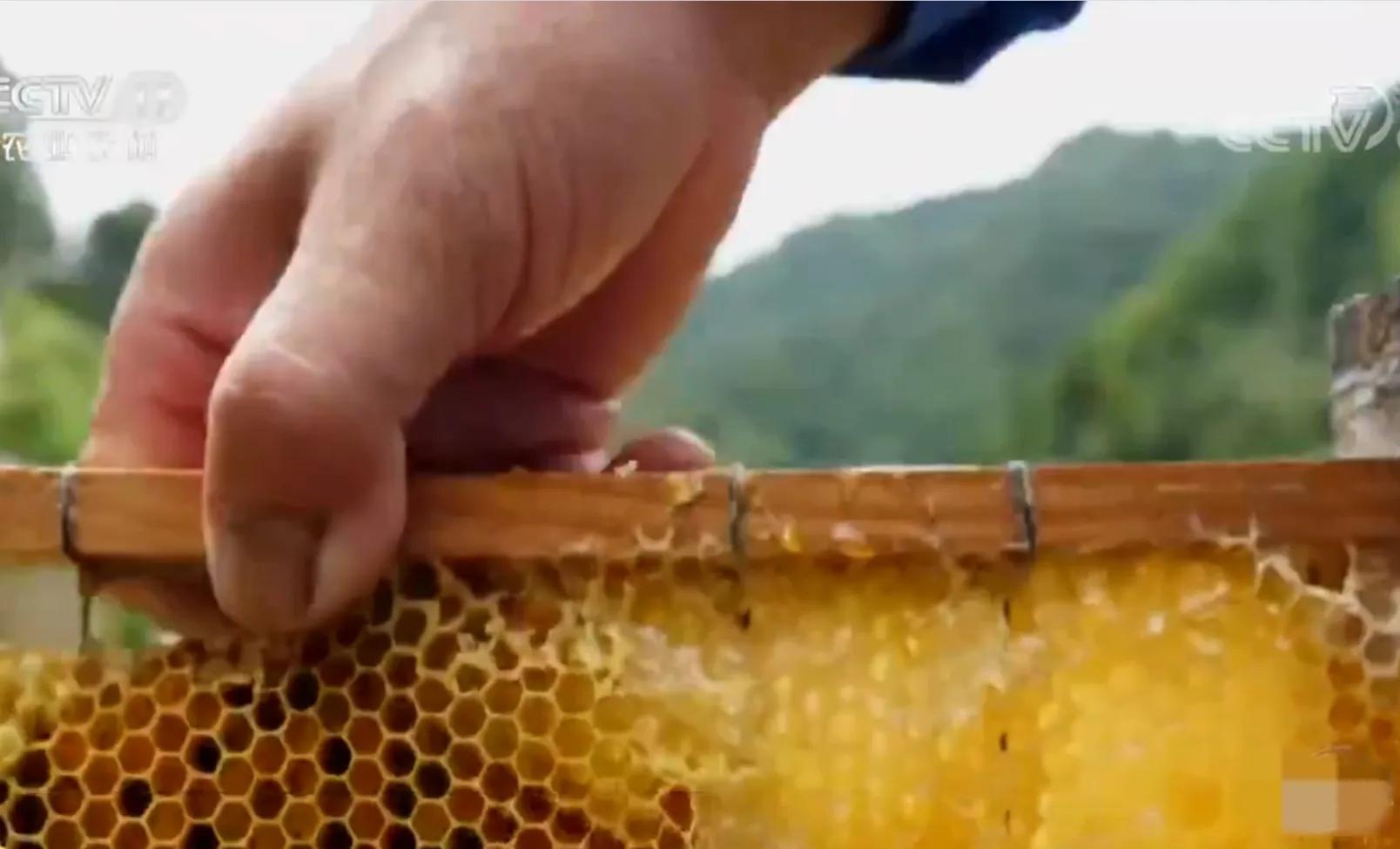 农村小伙承包80亩果园,90后小伙承包15亩果园养活3个孩子