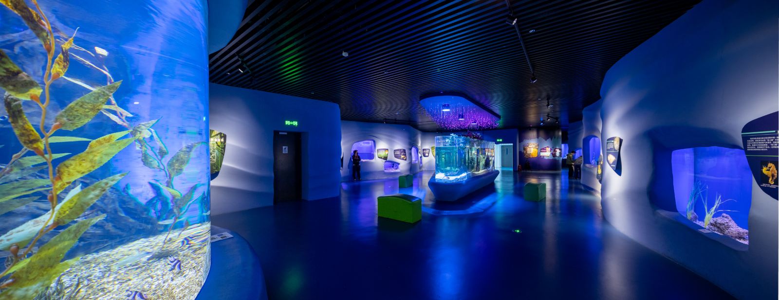 天津国家海洋博物馆参观感受,天津海洋博物馆到天津航母公园